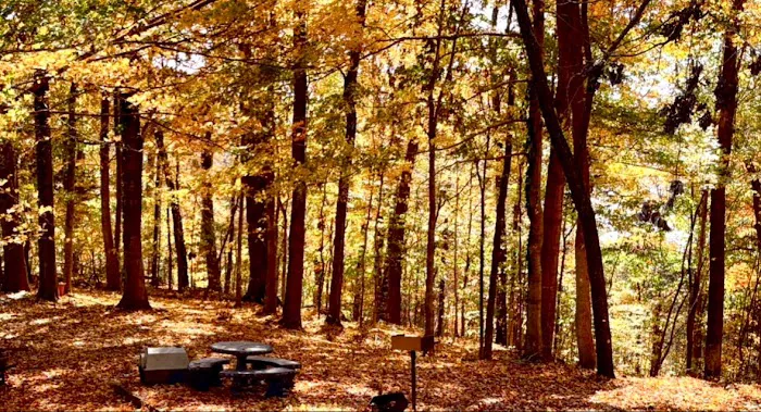 Dale hollow domes 7