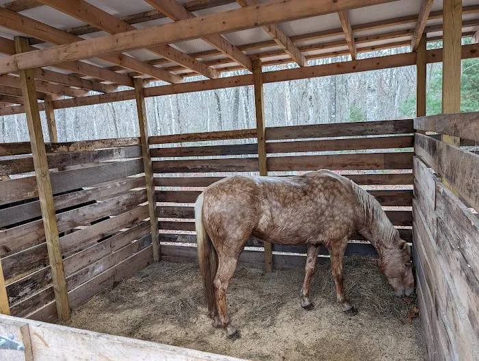 Buck Run Horse Campground LLC 2