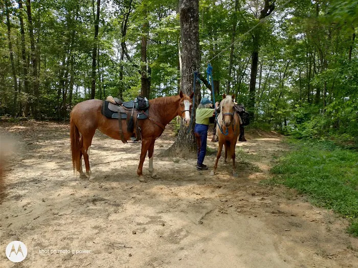 East Fork Stables & Campground 2