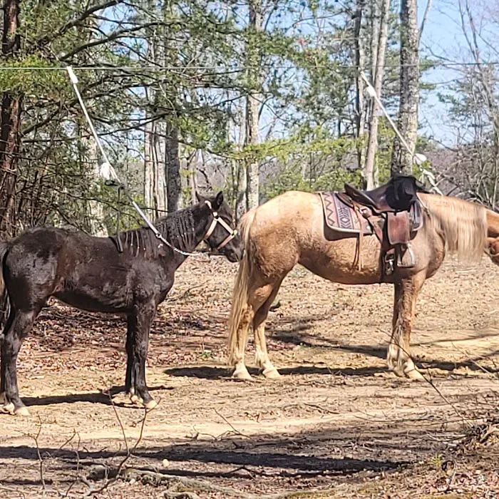 East Fork Stables & Campground 6