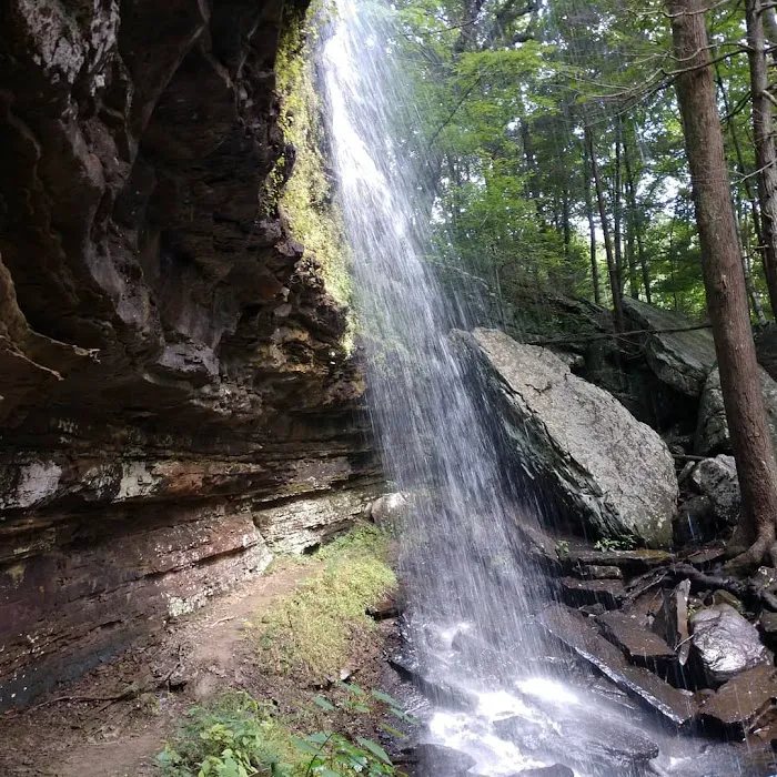 East Fork Stables & Campground 7