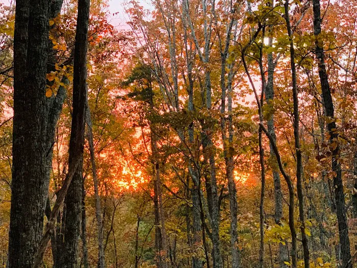 Smith Mountain Camping 0