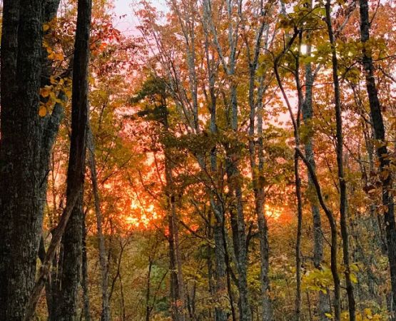 Smith Mountain Camping