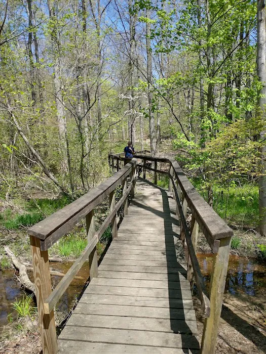 Chilhowee A and B Campground 4