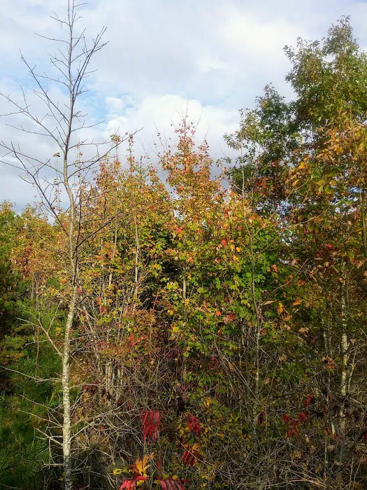 Chilhowee A and B Campground 7