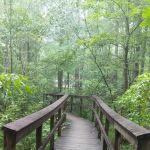 Chilhowee Campground