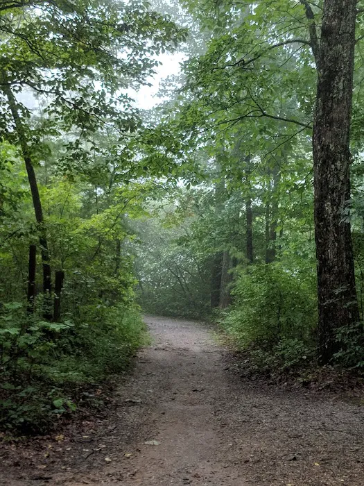 Chilhowee Campground 5