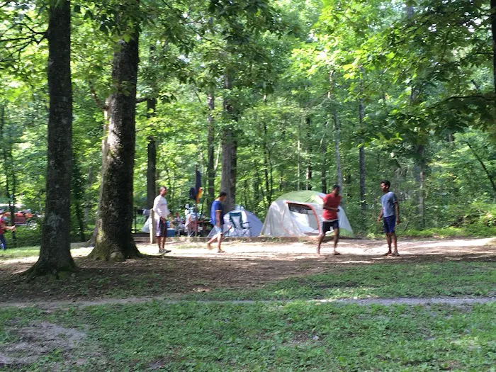 Chilhowee Campground 4