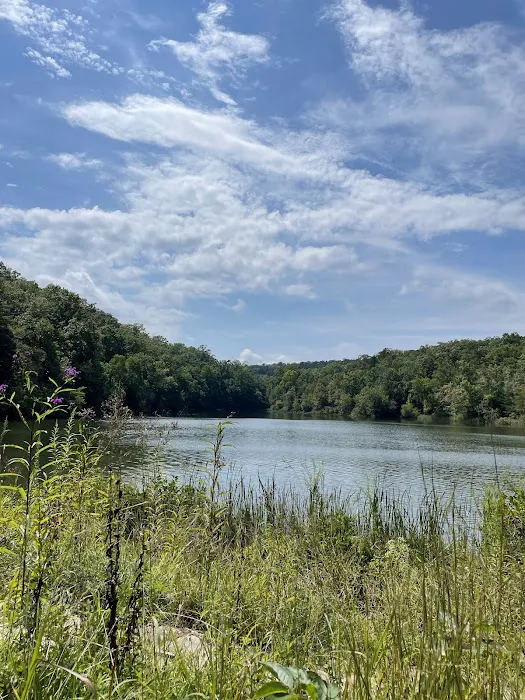 Chilhowee Recreation Area 1