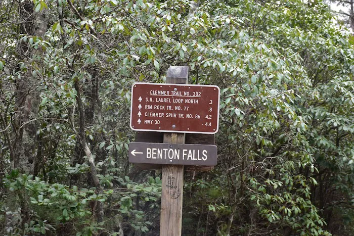 Chilhowee Recreation Area 5