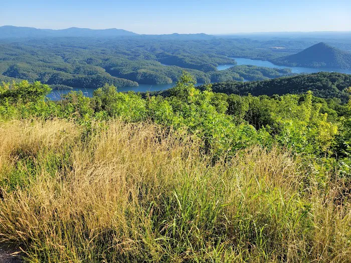 Chilhowee Group Camp 2
