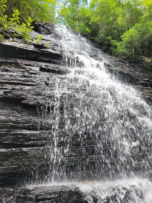 Chilhowee Group Camp 4