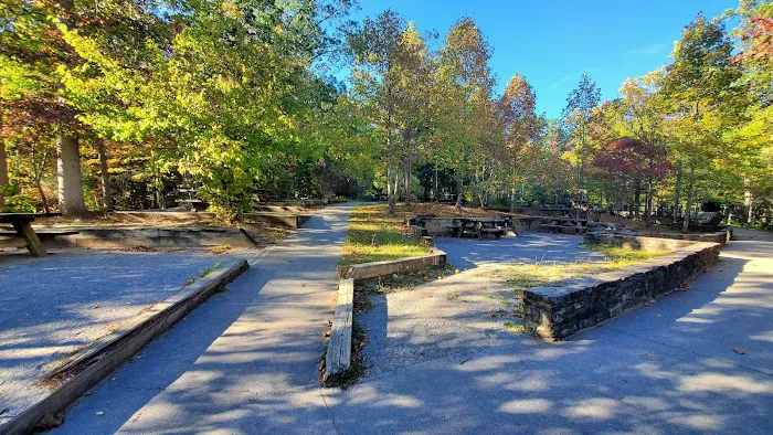 Chilhowee Group Camp 6