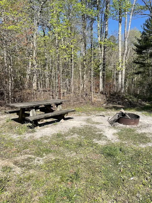 Chilhowee Group Camp 9