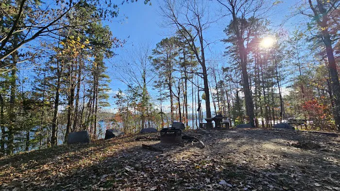 Forest service campsite 10 3