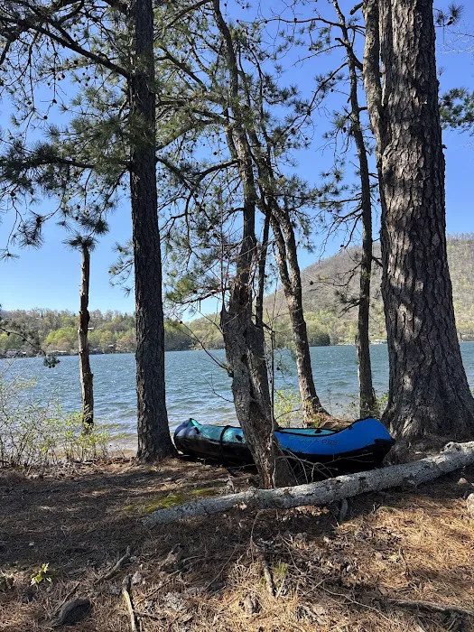 Lake Santeetlah #2 4
