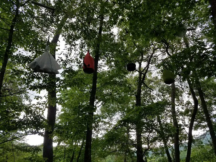 Backcountry Campsite #87 9
