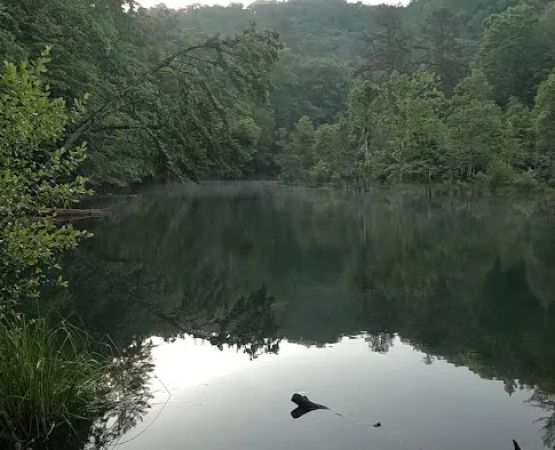 Backcountry Campsite #90