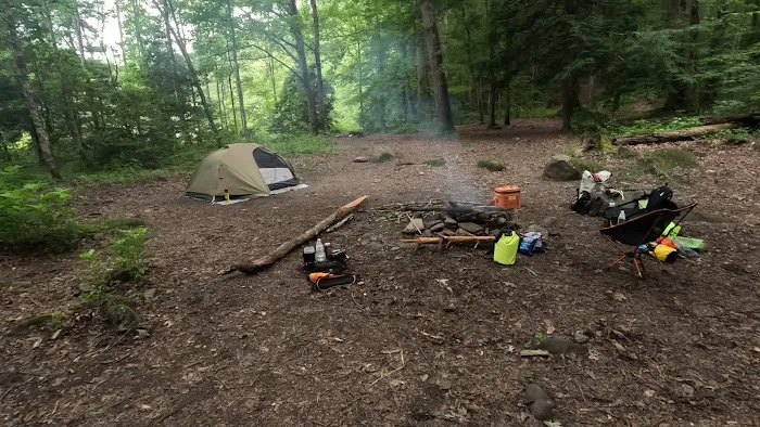 Backcountry Campsite #90 1