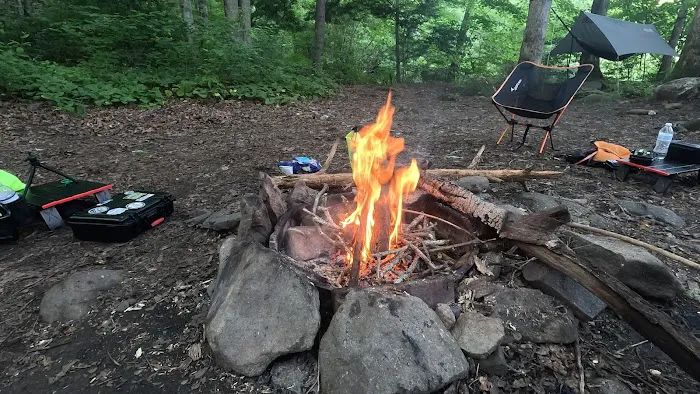 Backcountry Campsite #90 5