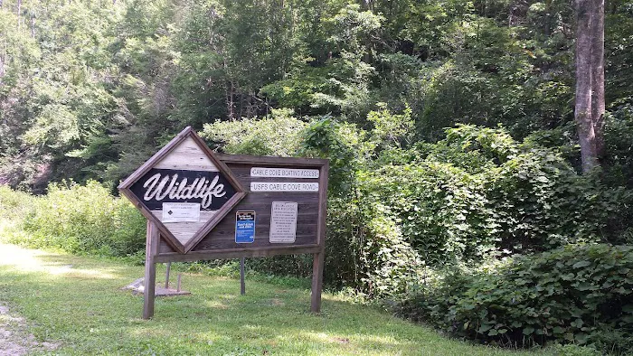 Cable Cove Campground, Cheoah Ranger District, Nantahala National Forest 5