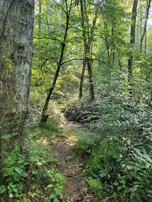 Cable Cove Campground, Cheoah Ranger District, Nantahala National Forest 9