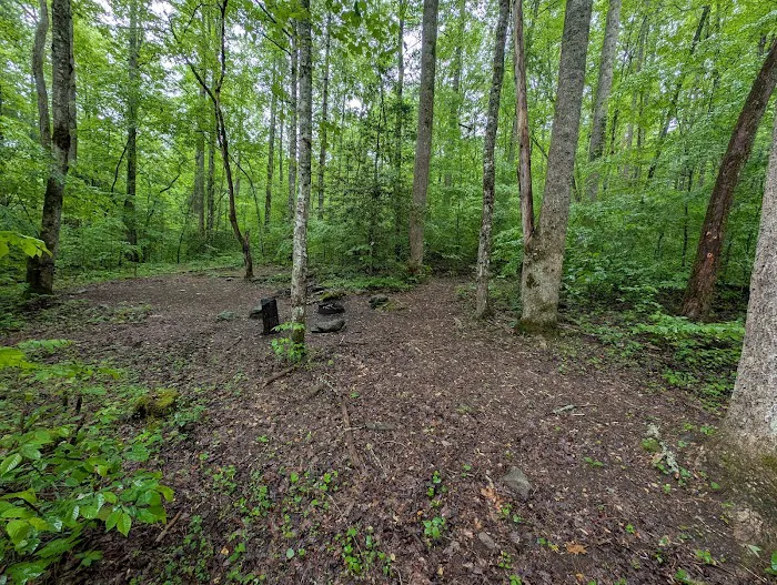 Backcountry Campsite #88 0