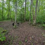 Backcountry Campsite #88