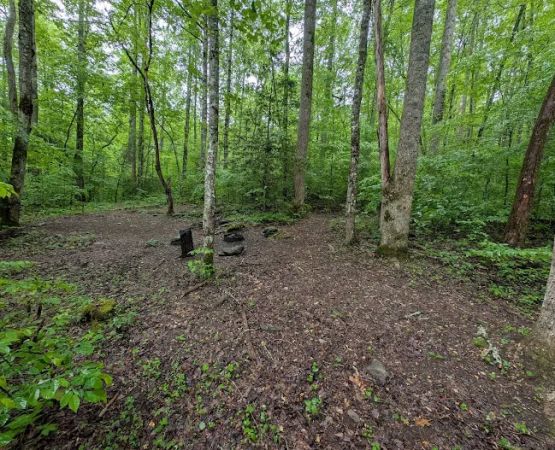 Backcountry Campsite #88