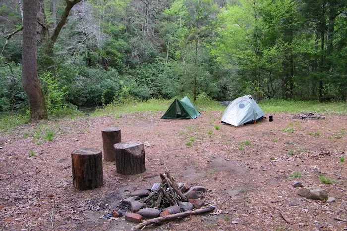 Backcountry Campsite #86 1