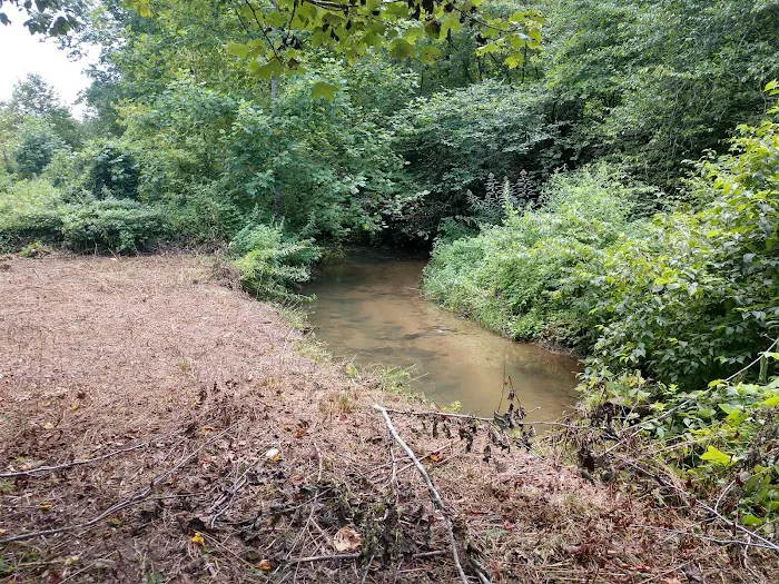 Moonshine Run Campground 1