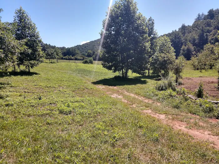 Moonshine Run Campground 2