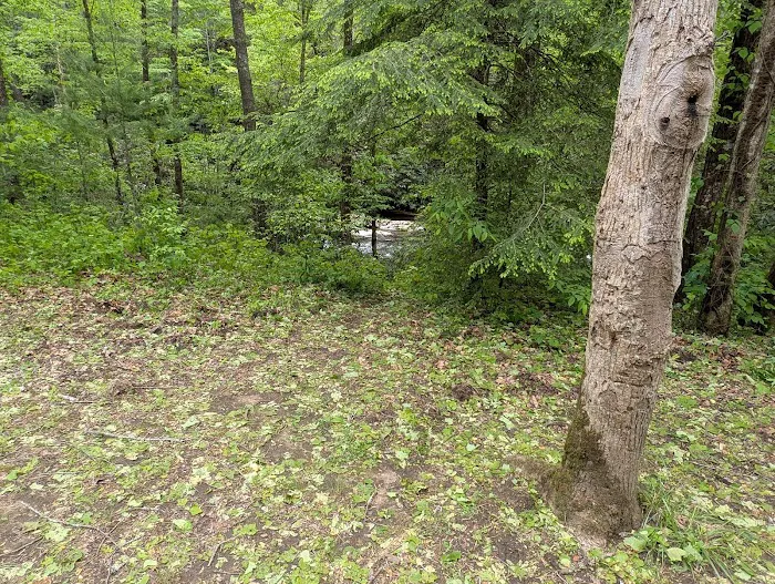 Backcountry Campsite #85 1