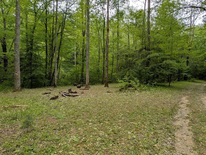 Backcountry Campsite #85 3