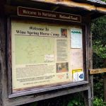 Wine Spring Horse Camp