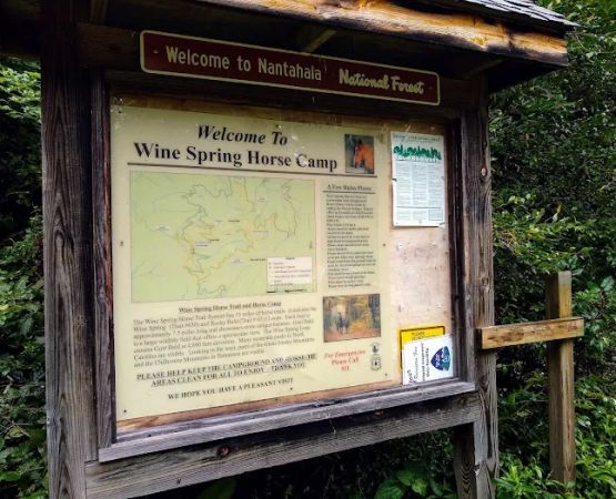 Wine Spring Horse Camp