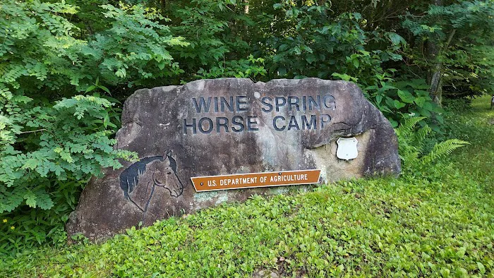 Wine Spring Horse Camp 3