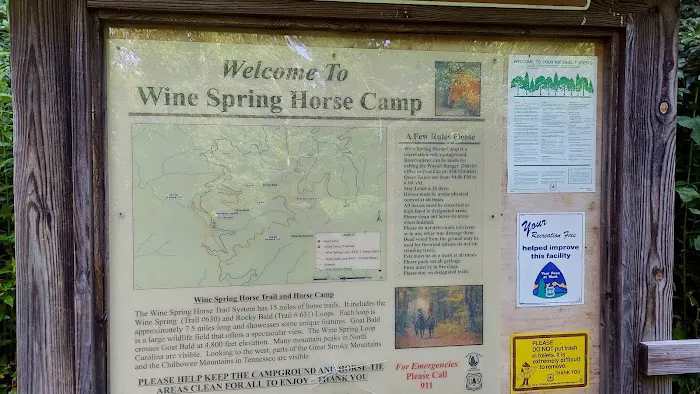Wine Spring Horse Camp 5