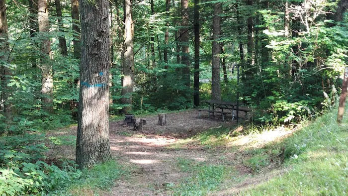 Wine Spring Horse Camp 6