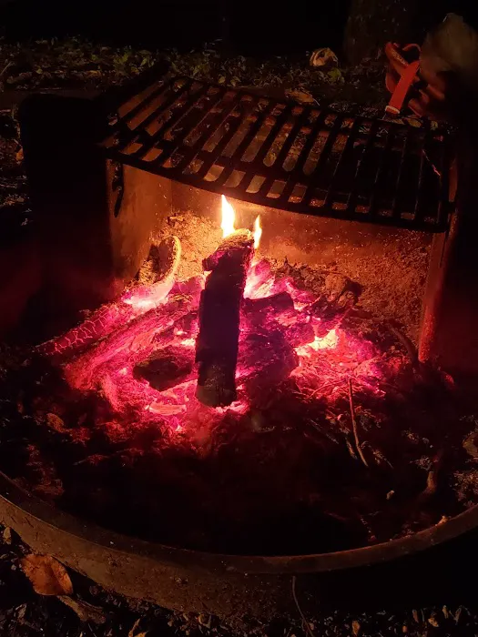Wine Spring Horse Camp 9