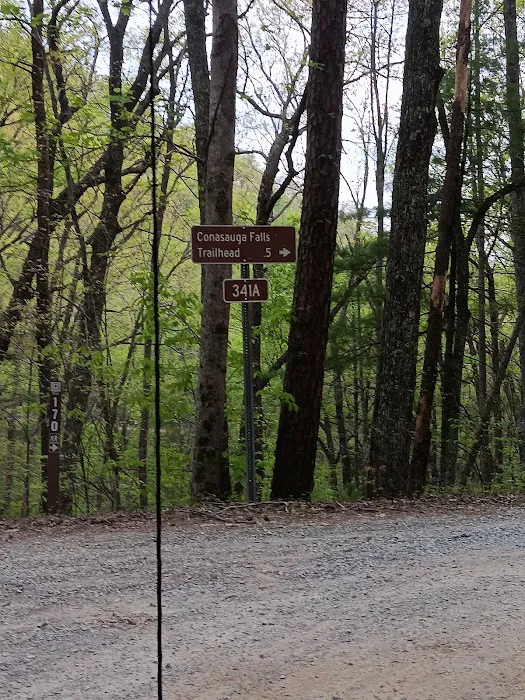 Dispersed riverside camp spot 0