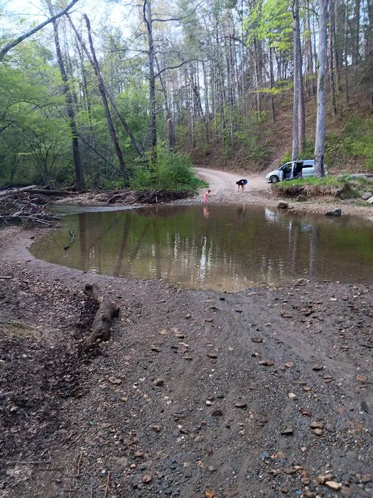 Dispersed riverside camp spot 2