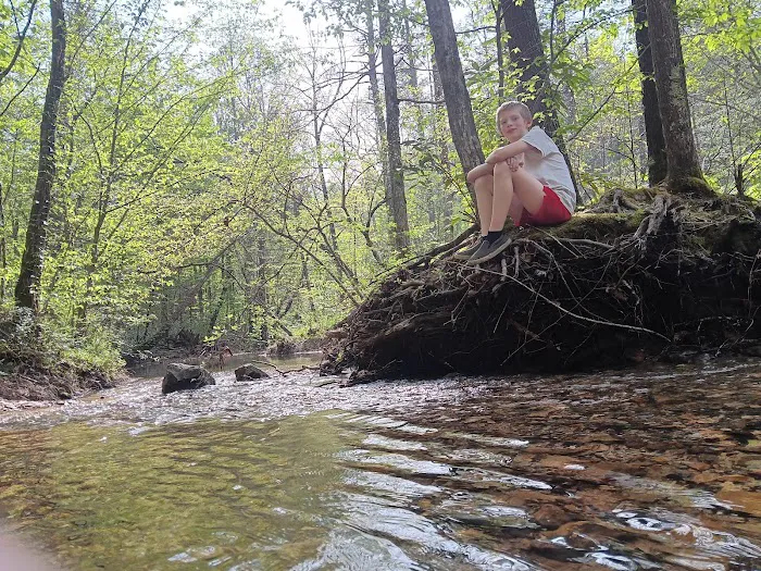 Dispersed riverside camp spot 5