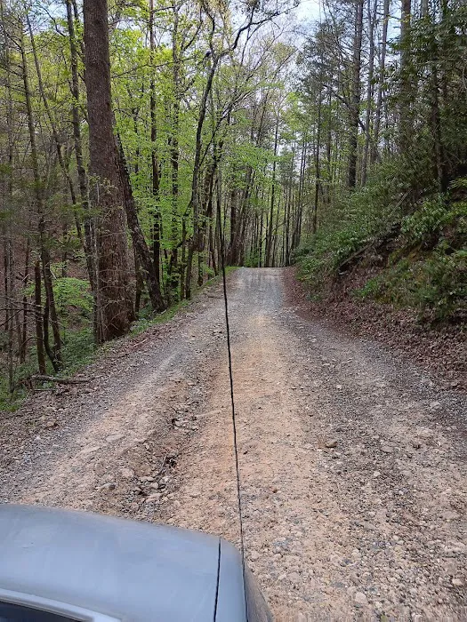 Dispersed riverside camp spot 6
