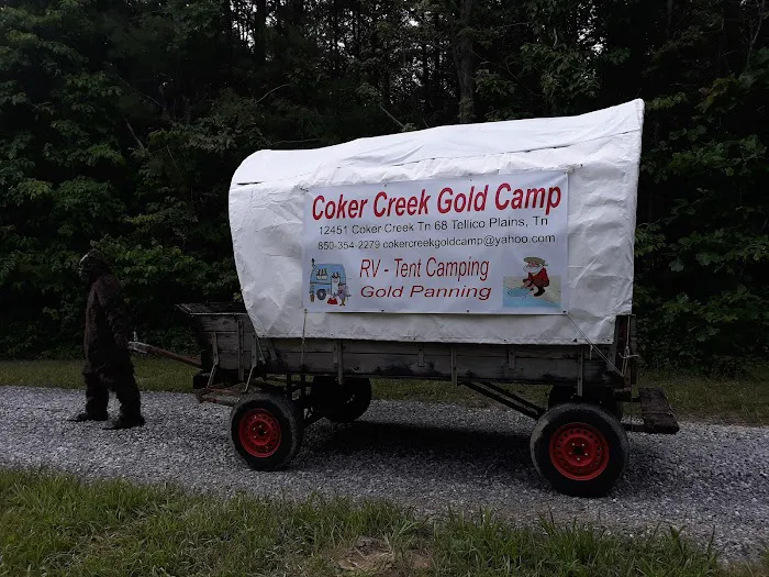 Coker Creek Gold Camp (Site of Diggers Expedition) 2