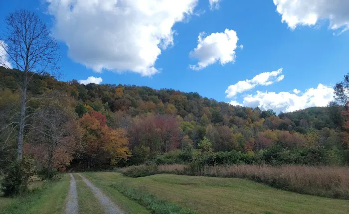 Hammer's Hideaway Campground 5