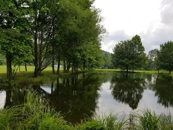 Hammer's Hideaway Campground 9