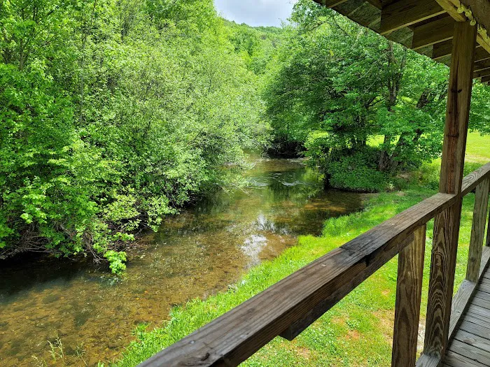 Hammer's Hideaway Campground 6