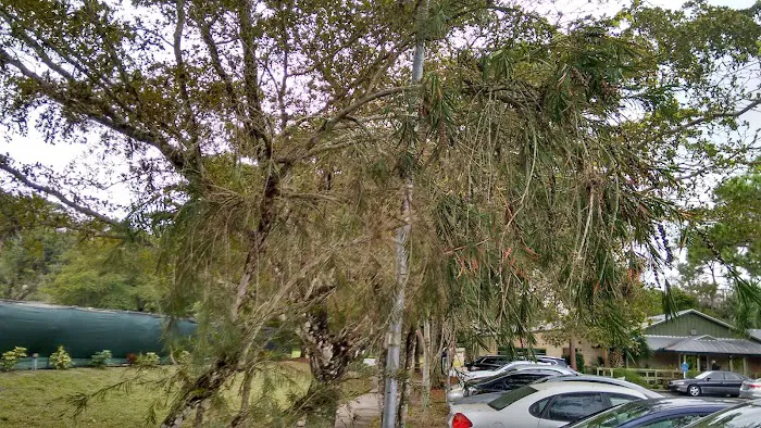 Camp Gan Israel Florida (CGI Florida) 5