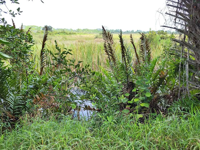 Allapattah Flats Campsite 9